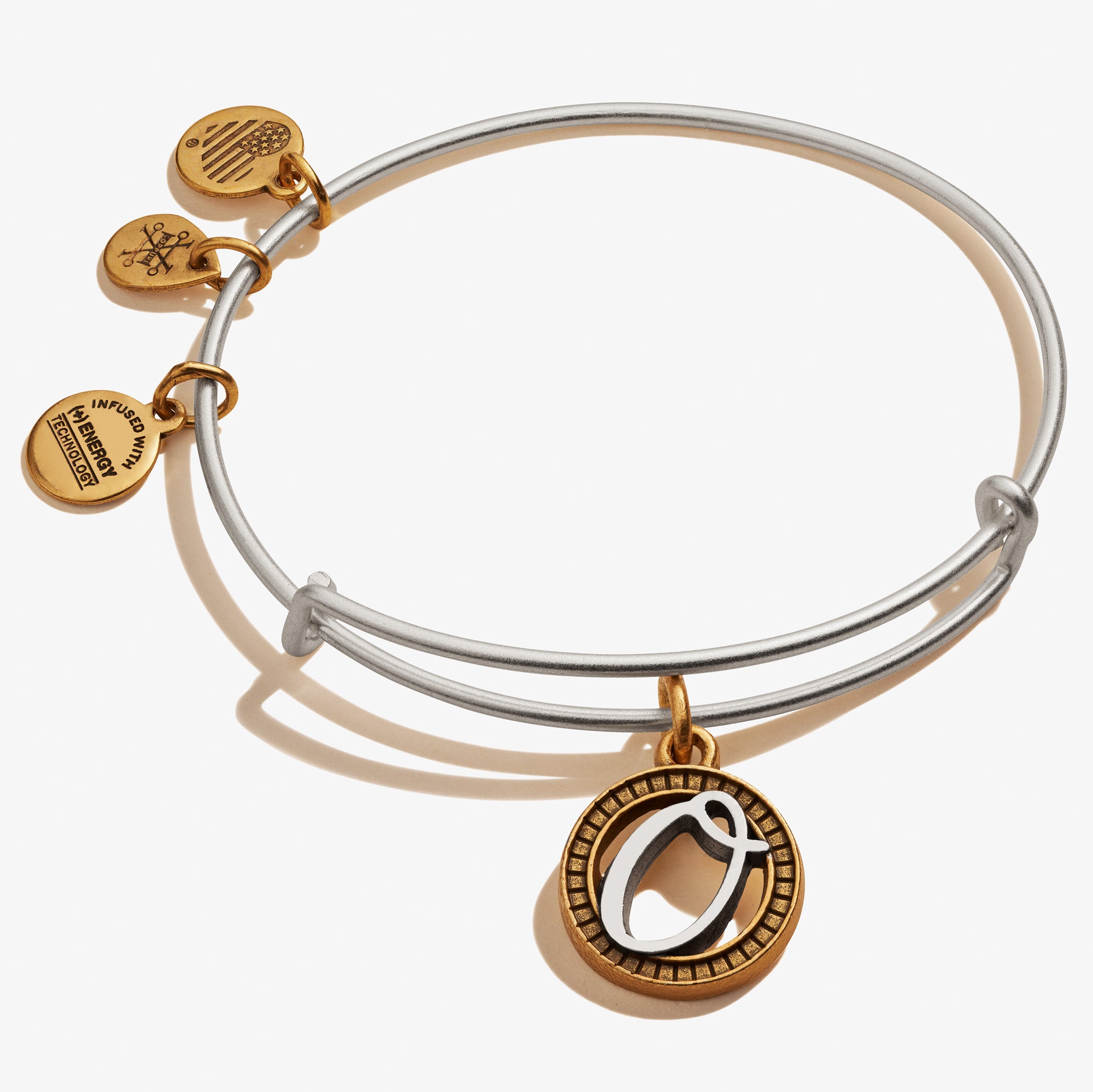 Details about   Alex And Ani Letter E Gold Plated Adjustable Charm Bracelet 
